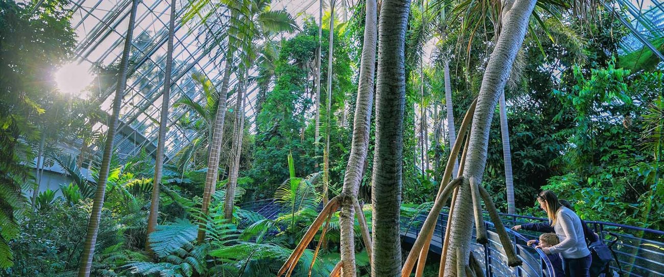 Botanic Gardens, Adelaide