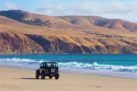 CardrivingonSellicksBeachjpg (1)