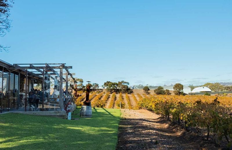 Davidfranz Barossa 1920X800