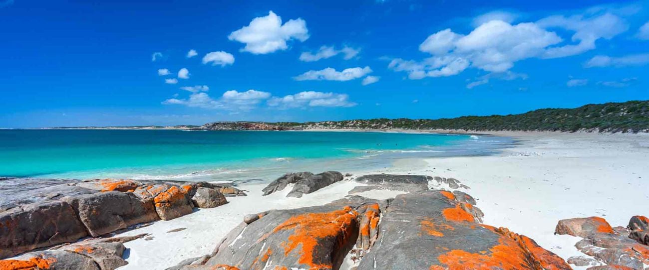 Dolphin Bay, Yorke Peninsula
