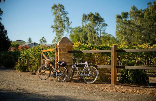 Fly Gold Coast to Adelaide from $131^