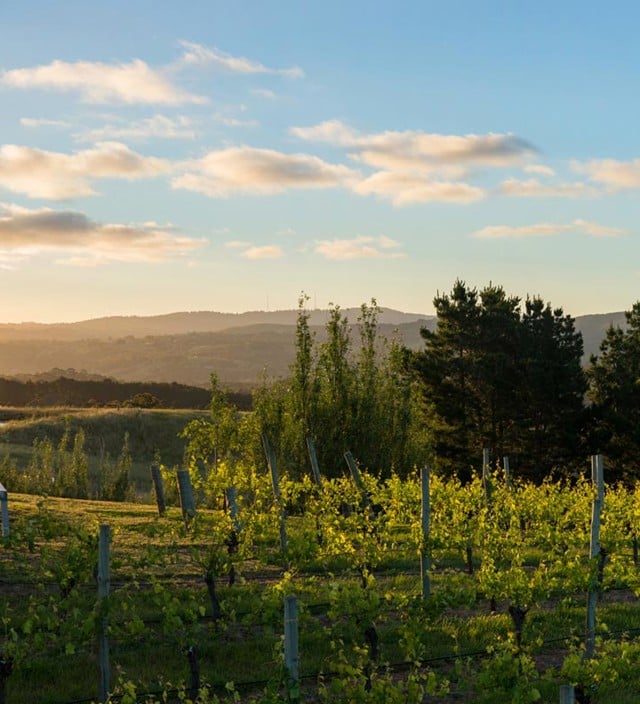 Adelaide Hills