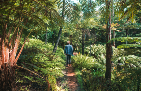 Fly Hobart to Adelaide from $110^
