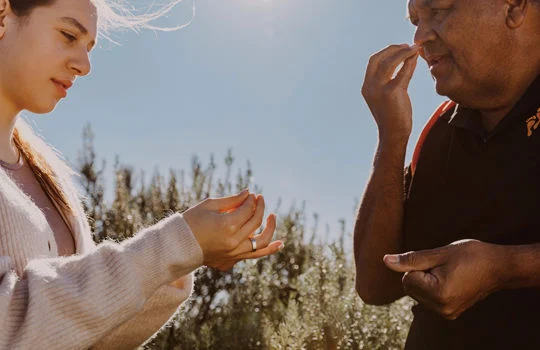 Tours and experiences 